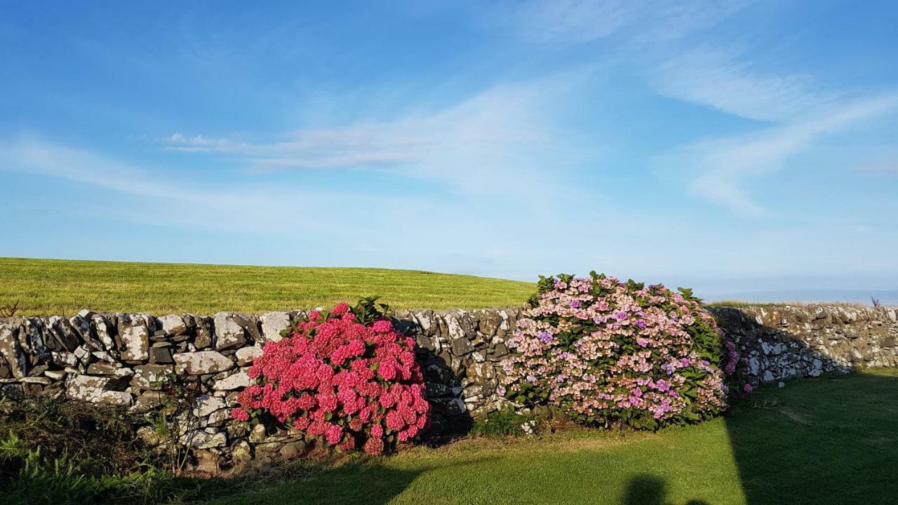 הוילה Isle of Whithorn 31 Laigh Isle מראה חיצוני תמונה